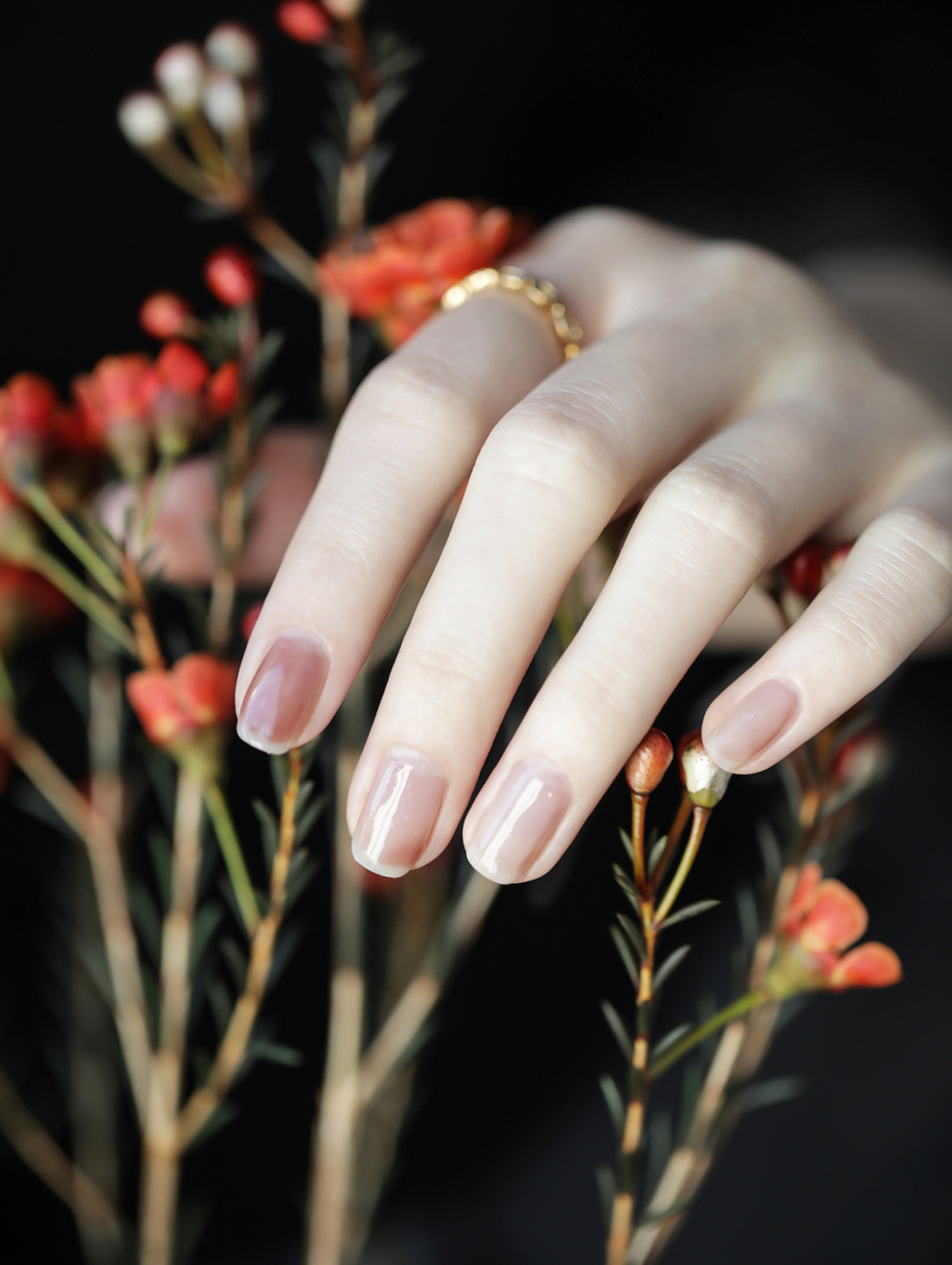 Nude Simple Oval Nails shown as a nail art design with nude, simple, elegant, oval and medium details.