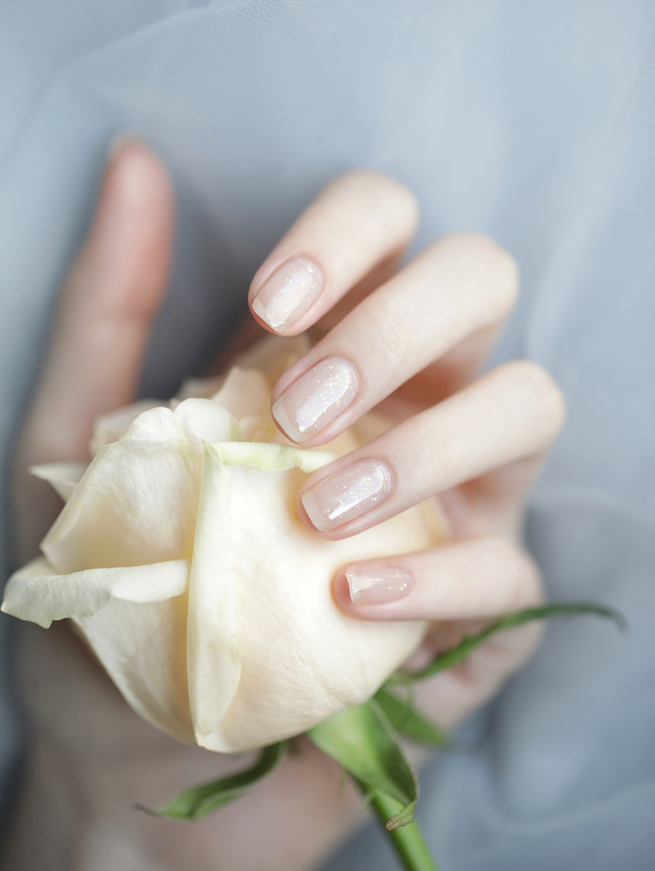 Nude Glitter Short Nails shown as a nail art design with nude, glitter, elegant, simple and short details.